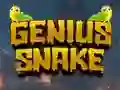 Hra Genius Snake online