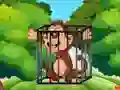 Hra Free the Captive Ape online