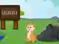 Hra Rescue the Squirrel from Stone online