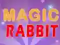 Hra Magic Rabbit online