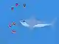 Hra Oceans Shees online
