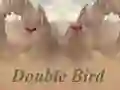 Hra Double Bird online