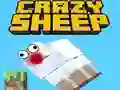 Hra Crazy Sheep online