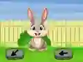 Hra Springtime Escape online