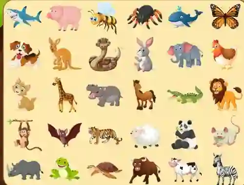 Hra Discover Animals online