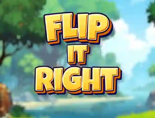 Hra Flip It Right online