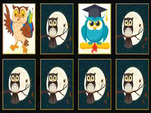 Hra Cute Owl Memory online