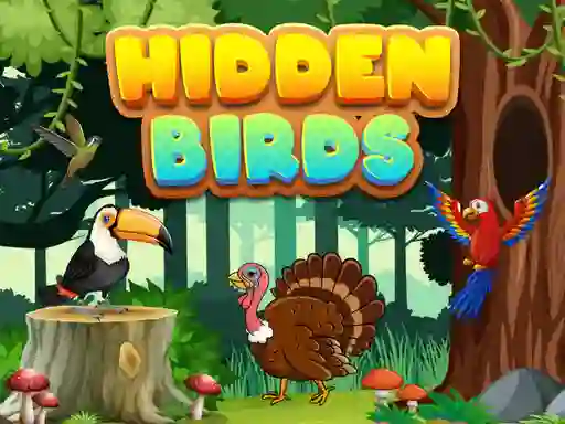 Hra Hidden Birds online