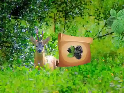 Hra Return To Alsunga Forest online