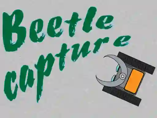 Hra Beetle Capture online