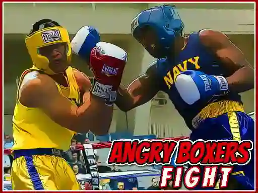Hra Angry Boxers Fight online