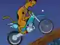 Hra Scooby Doo Trail online