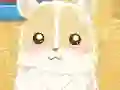 Hra Hamster Love online