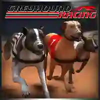 Hra Greyhound Racing online