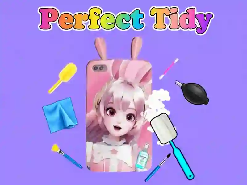 Hra Perfect Tidy online