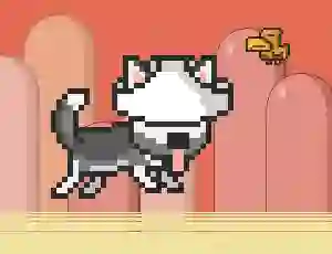 Hra Mr Jump Husky online