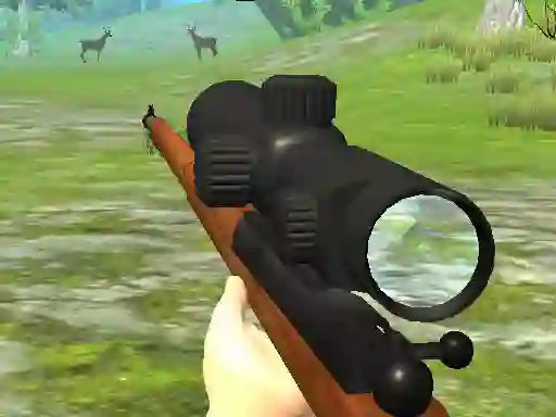 Hra Hunter 3D online