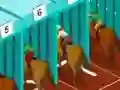 Hra Derby racing online