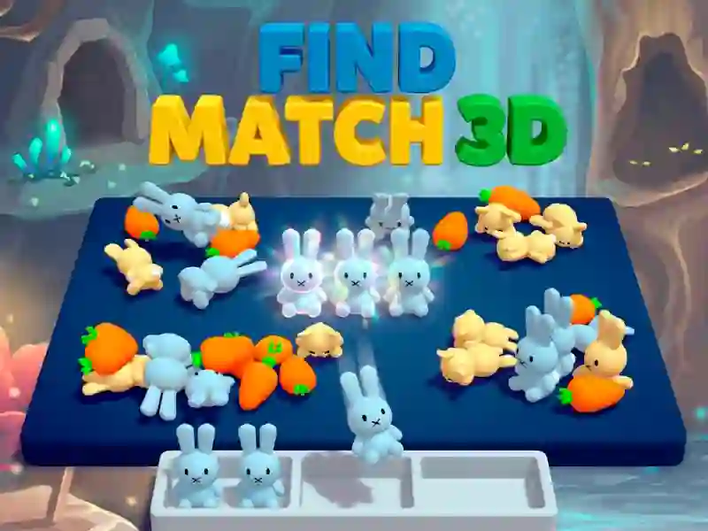 Hra Find Match 3D online
