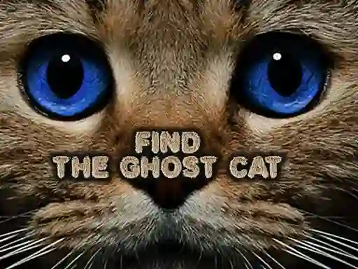 Hra Find the Ghost Cat online