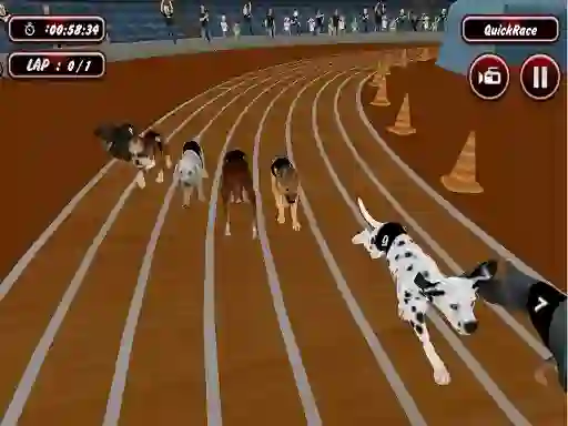 Hra Crazyl Dog Racing Fever online