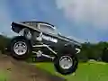 Hra Crazy Mustang online