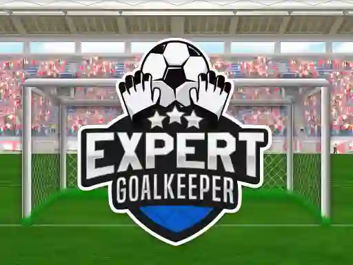 Hra Expert Goalkeeper online