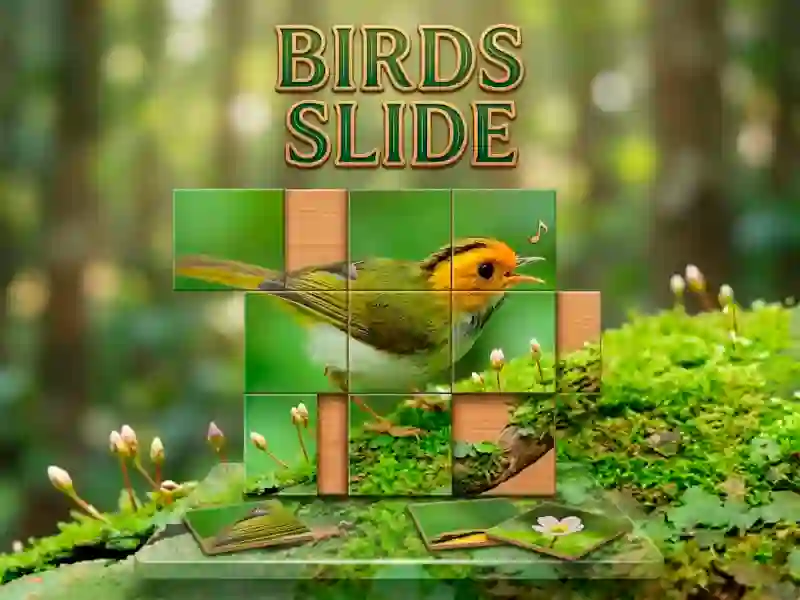 Hra Birds Slide online