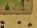 Hra Ambush online