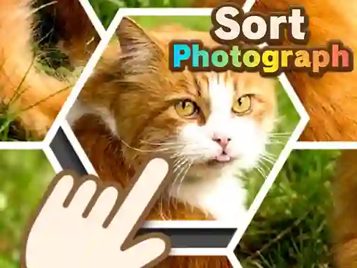 Hra Sort Photograph online