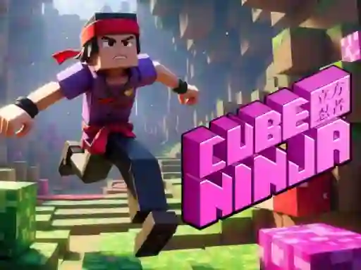 Hra Cube Ninja online