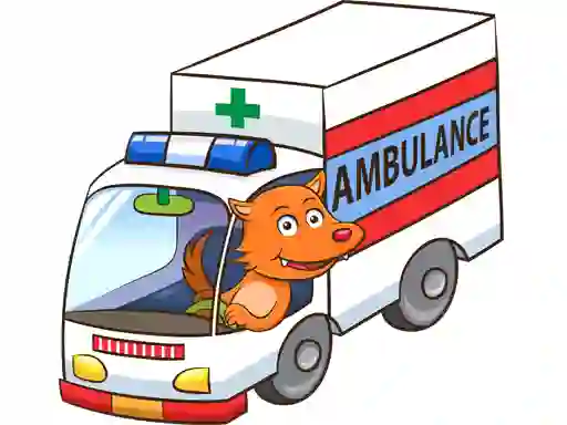 Hra Cartoon Ambulance Puzzle online
