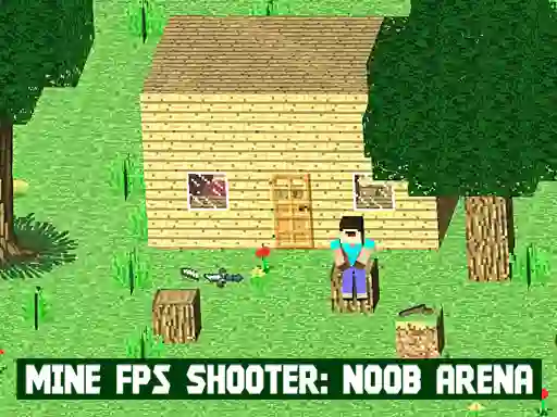 Hra Mine FPS Shooter: Noob Arena online