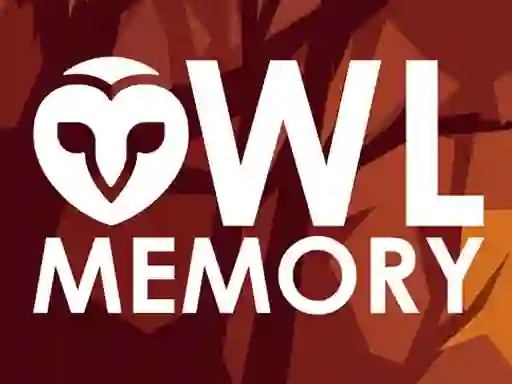 Hra Owl Memory online