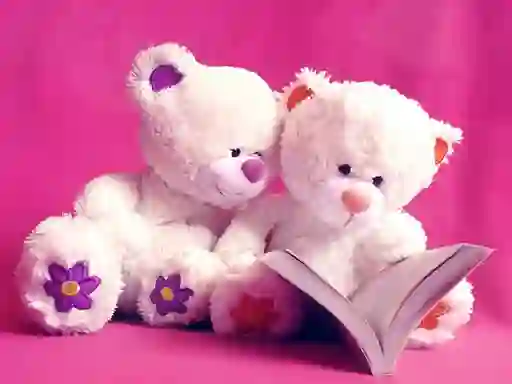 Hra Cute Teddy Bears Slide online