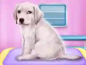 Hra Labrador at the doctor salon online