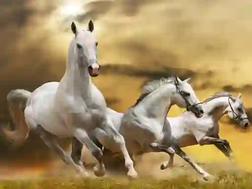 Hra Running Horse Slide online