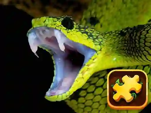 Hra Snake Puzzle Challenge online