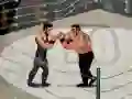 Hra Smash Boxing online