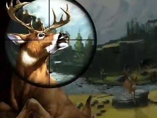 Hra Deer Hunter online