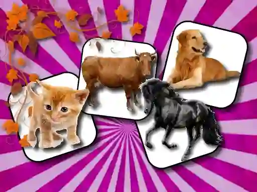 Hra Domestic Animal Memory Challenge online