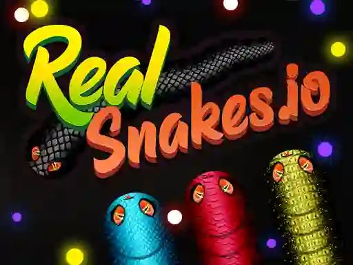 Hra Real Snakes.io online