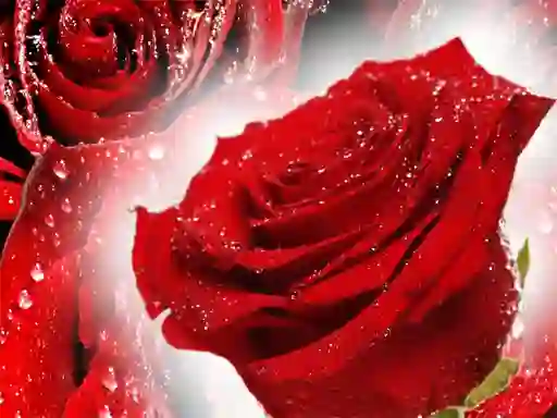 Hra Red Roses online