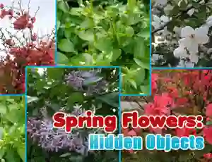 Hra Spring Flowers: Hidden Objects online