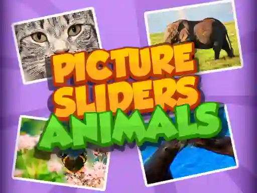 Hra Picture Slider Animals online
