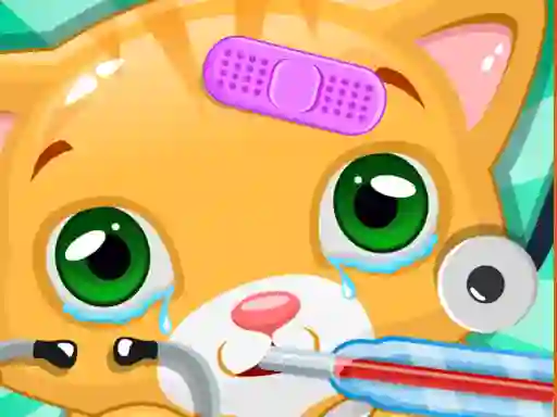 Hra Little Cat Doctor online
