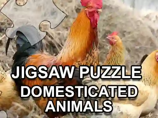 Hra Jigsaw Puzzle Domesticated Animals online