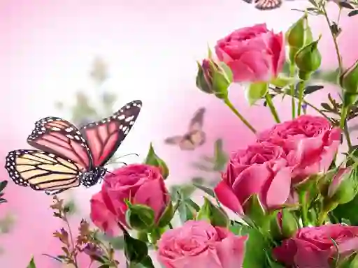 Hra Butterflies Puzzle online