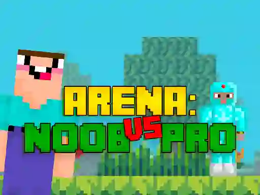 Hra Arena: Noob vs Pro online