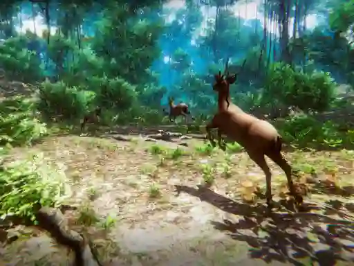 Hra  Hunter 3D online